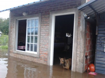 Desborde Arroyo Las Víboras