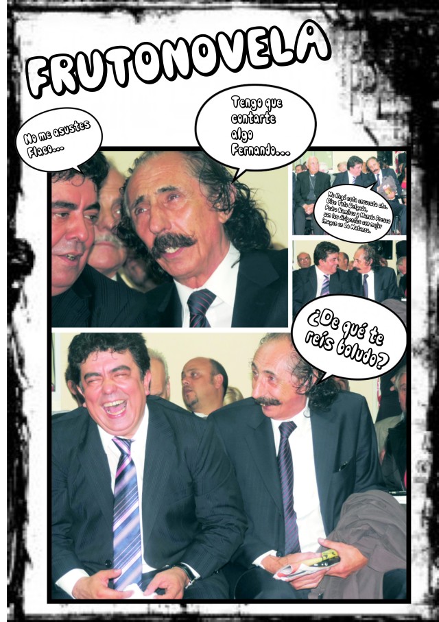 frutonovela 2014