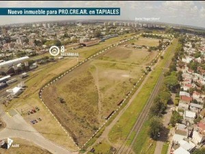 procrear tapiales