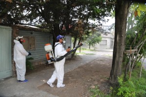 Fumigación 2