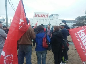 indiel