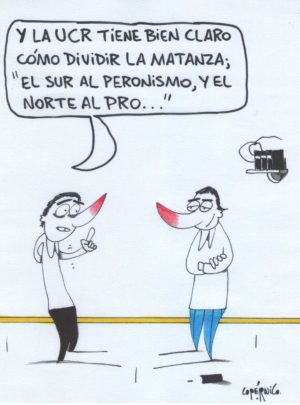 Imagen (23)