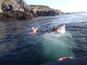 González cumplió con su mayor desafío y unió a nado las Islas Gran Malvinas y Soledad el 13 de marzo. González cumplió con su mayor desafío y unió a nado las Islas Gran Malvinas y Soledad el 13 de marzo.